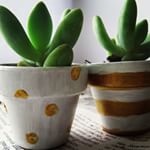 I know its snowing outside! But I can't help but think of warmer times! Spring up your workspace w these tiny babies! #succulents #spring #nomoresnow Www.wellmadeheart.com I know its snowing outside! But I can't help but think of warmer times! Spring up your workspace w these tiny babies! #succulents #spring #nomoresnow Www.wellmadeheart.com