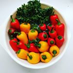 Spring is right around the corner! Truly one of my fave seasons. I'm so inspired by spring's bright colors and freshness. Couldn't help but take this photo during my veggie cleaning session! #spring #colorfulveggies #babybellpeppers #kale #Guatemala Spring is right around the corner! Truly one of my fave seasons. I'm so inspired by spring's bright colors and freshness. Couldn't help but take this photo during my veggie cleaning session! #spring #colorfulveggies #babybellpeppers #kale #Guatemala