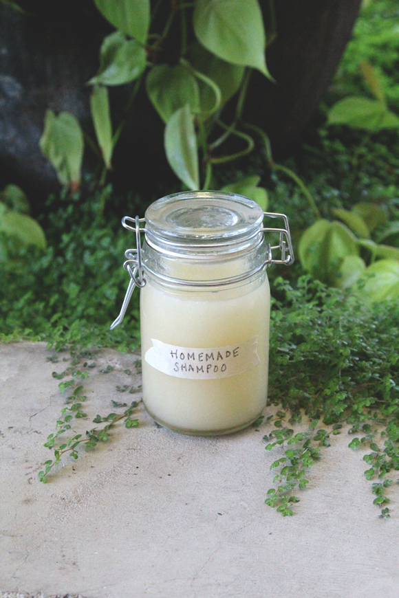 homemade-shampoo4